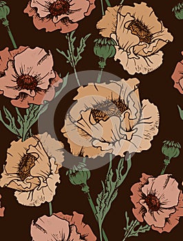 Seamless pattern in vintage style. Poppy flowers, poppy heads, leaves form a continuous composition. Vector.