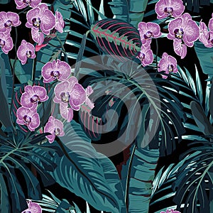 Seamless pattern, violet orchid flower and green blue exotic palm monster leaves on dark background.
