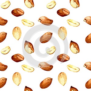 Seamless pattern. Watercolo peanut background