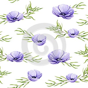 Seamless pattern of watercolor anemones and sprigs of eucalyptus nicholii. Isolated hand painted flowers and leaves on white
