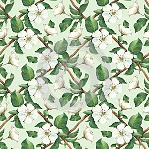 Seamless pattern with watercolor apple flowers