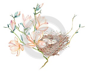 Seamless pattern of the watercolor bird nests on the tree branches, hand drawn on a white background