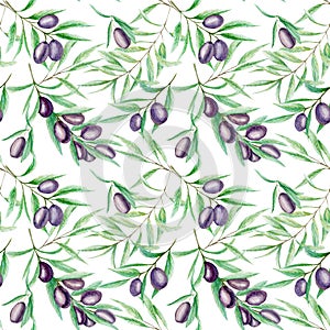 Seamless pattern Watercolor black olive tree branch leaves, Realistic olives illustration on white background, Hand