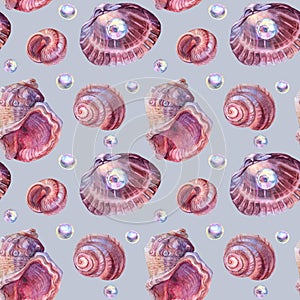 Seamless pattern watercolor brown pink spiral sea shell with bead pearl on blue background. Hand drawn nature realistic