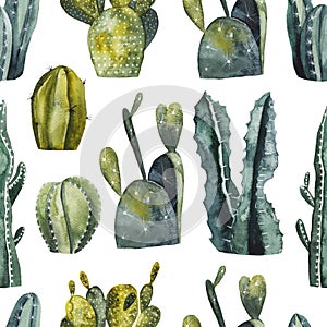 Seamless pattern with watercolor cacti on white background