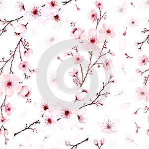 Seamless pattern with watercolor cherry blossom branches hand painted
