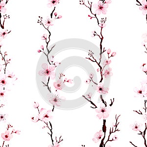 Seamless pattern with watercolor cherry blossom branches hand painted. illustration on white background