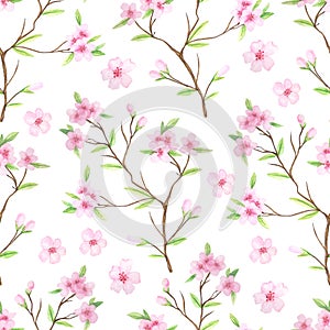 Seamless pattern with watercolor cherry blossoms