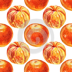 Seamless pattern watercolor citrus fruit orange peel the tangerine on white background. Hand-drawn food for winter or