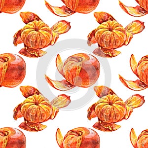 Seamless pattern watercolor citrus fruit orange peel the tangerine on white background. Hand-drawn food for winter or