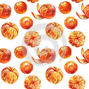 Seamless pattern watercolor citrus fruit orange peel the tangerine on white background. Hand-drawn food for winter or