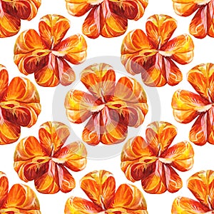 Seamless pattern watercolor citrus fruit orange peeled tangerine on white background. Hand-drawn food for winter or