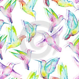 Seamless pattern of watercolor colibri