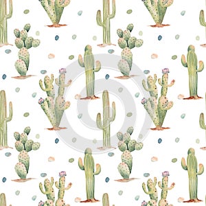 Seamless pattern of watercolor desert cacti illustration