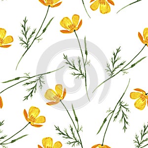 seamless pattern with watercolor drawing californian poppy