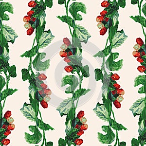 Seamless pattern of watercolor drawings of raspberry twigs with ripe red berries and green leaves