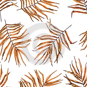 Seamless pattern of watercolor dried palm branches. Hand drawn illustration is isolated on white. Dry leaves