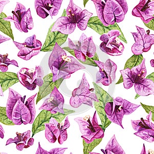 Seamless pattern with watercolor flowers and leaves of bougainvillea