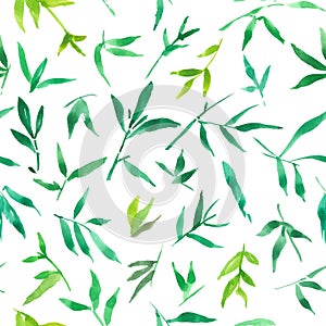 Seamless pattern watercolor of green bamboo leaves, painting plant illustration