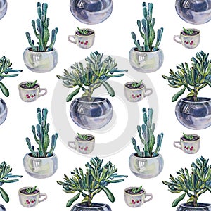 Seamless pattern watercolor green plant succulent money tree, cactus, grow sprout in pot on white. Hand-drawn botanical