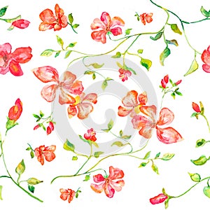 Seamless pattern of watercolor handmade illustration of red flowers