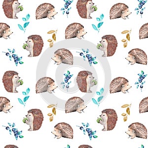 Seamless pattern with watercolor hedgehogs and forest plants