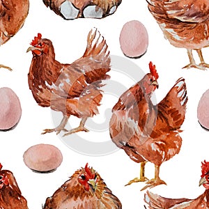 Seamless pattern with watercolor hens, eggs, feathers. Hand drawn illustration is isolated on white. Chicken ornament is perfect