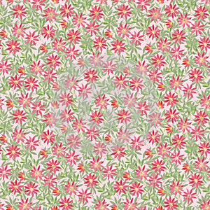 Seamless pattern with watercolor illustration, curly red orange ocher flowers Clematis on green blue claret background. Illustrati