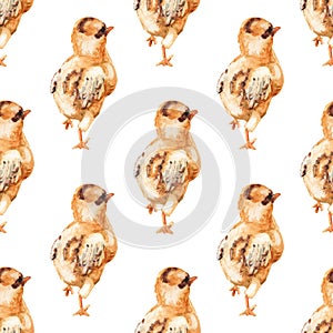 Seamless pattern with watercolor image of chicken.