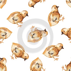 Seamless pattern with watercolor image of chicken.