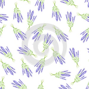 Seamless pattern with watercolor lavander flower