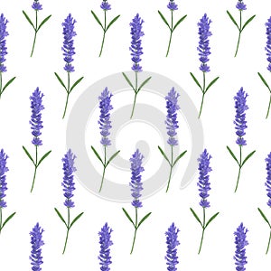 Seamless pattern with watercolor lavender. Illustration of Provence leaf sprigs Floral textures handmade leaves Digital paper Text