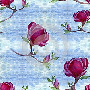 Seamless pattern. Watercolor. Magnolia - flowers and buds on a branch.Watercolor. The branches are blooming.