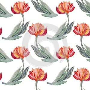 Seamless pattern watercolor orange yellow abstract tulip with green leaves on white background. Hand-drawn spring flower