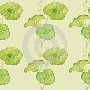 Seamless pattern with watercolor painted green lotus leaves.