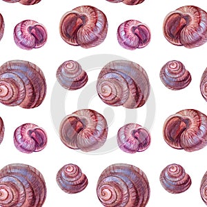 Seamless pattern watercolor pink brown sea shell with pearl isolated on white background. Creative hand-drawn nature