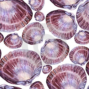 Seamless pattern watercolor pink brown sea shell with pearl on white. Creative hand-drawn nature realistic background