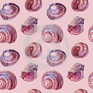 Seamless pattern watercolor pink brown spiral sea shell with pearl on grey background. Hand drawn nature realistic