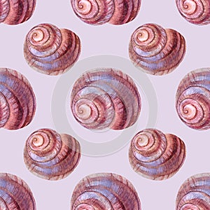 Seamless pattern watercolor pink brown spiral sea shell with pearl on grey background. Hand-drawn nature realistic