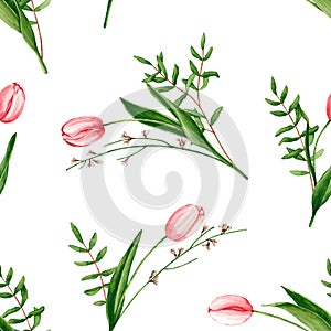 Seamless pattern with watercolor pink tulips, genista, pistache branches. Hand drawn illustration is isolated on white. Ornament