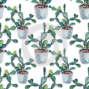 Seamless pattern watercolor plant succulent cactus opuntia with needles in pot indoor isolated on white. Hand-drawn