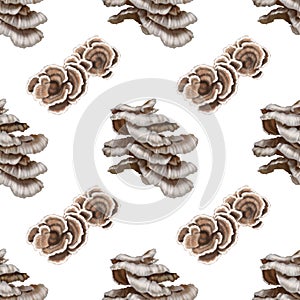 Seamless pattern. Watercolor realistic mushrooms. Mushrooms growing on trees. Pleurotus ostreatus, the oyster mushroom