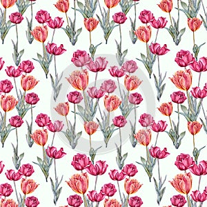 Seamless pattern watercolor red orange tulip with green leaves isolated on white background. Hand-drawn spring flower