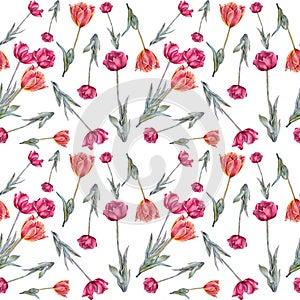 Seamless pattern watercolor red orange tulip with green leaves isolated on white background. Hand-drawn spring flower