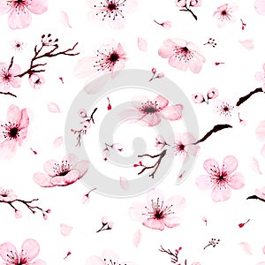 Seamless pattern with watercolor sakura branches hand painted
