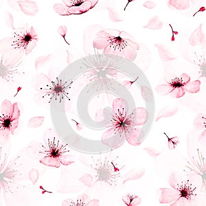 Seamless pattern with watercolor sakura branches hand painted. illustration on white background