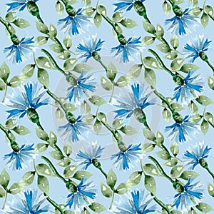 Seamless pattern, watercolor summer flowers bouquet cornflowers