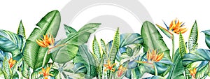 Seamless pattern with watercolor tropical plants and orange flowers