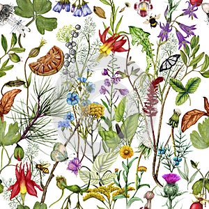 Seamless pattern with watercolor wild flowers. Hand-drawn illustration.