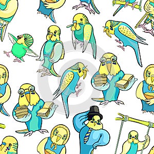 Seamless pattern of wavy parrot different images. vector illustration